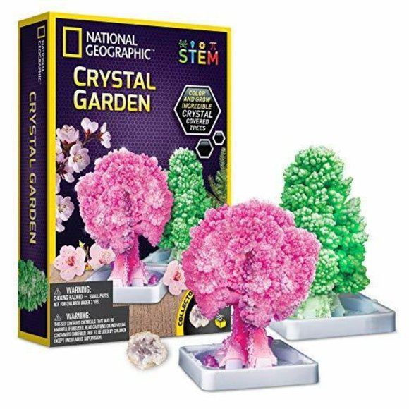 NATIONAL GEOGRAPHIC Crystal Garden Grow Two Trees in 6 Hours Learning Guide NEW - Picture 1 of 6